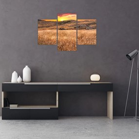 Tablou cu câmp (90x60 cm)