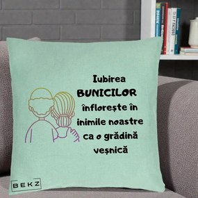 Cadou pentru Bunici - Perna Personalizata Iubirea Bunicilor Infloreste Cuplu Line Art Gradient, 40x40 cm, Verde Menta, Husa Detasabila, Perna Inclusa, BEKZ®