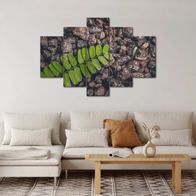 Tablou cu planta verde (150x105 cm)
