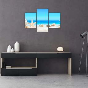 Tablou - Natura morta cu scoici (90x60 cm)