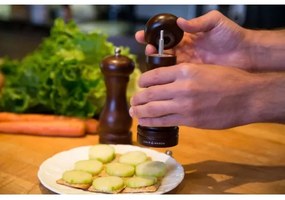 Cole&Mason - Râșniță piper CAPSTAN FOREST fag 16,5 cm