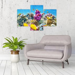 Tablou - Lumea mării (90x60 cm)