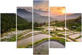 Tablou - Terase de orez (150x105 cm)