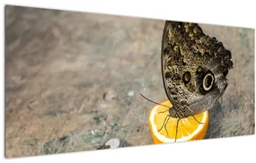 Tablou cu fluturi (120x50 cm), în 40 de alte dimensiuni noi