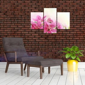 Tablou - Flori roz (90x60 cm)