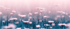 Tablou - Plante din pădure (120x50 cm)