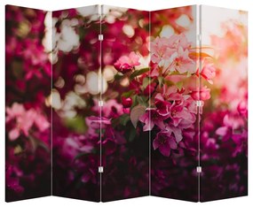 Paravan - Florile tufișului înflorit (210x170 cm)