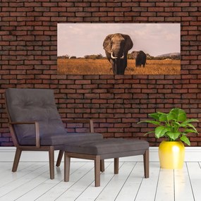 Tablou - Venirea elefantului (120x50 cm)