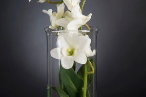 Aranjament floral elegant, design LUX ETERNITY DENDROBIUM ORCHID PLANT