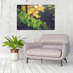Tablou - Ciupercă și muschi (90x60 cm)