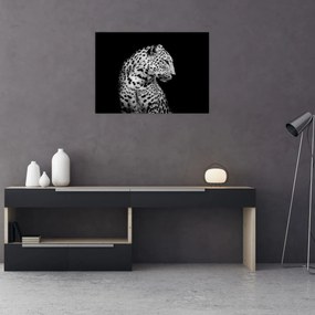 Tablou pe sticlă - Leopardul (70x50 cm)