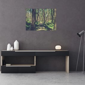 Tablou pe sticlă cu drum între copaci (70x50 cm)