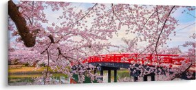 Tablou - Hirosaki, Japonia (120x50 cm)