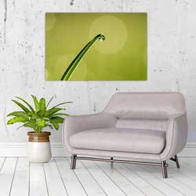 Tablou cu picătură de apă pe iarbă (90x60 cm)