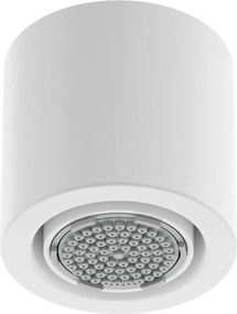 Silia Pălărie de duș fixă, 1-funcție NQS_A30K