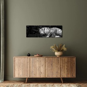 Tablou - Tigru alb, alb-negru (cu ceas) (90x30 cm)