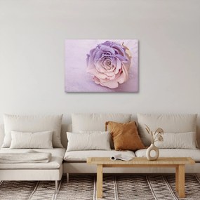 Tablou detaliu florii de trandafir (70x50 cm)