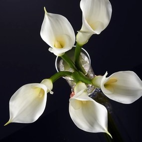 Aranjament floral elegant CALLA SMALL 1141178.95