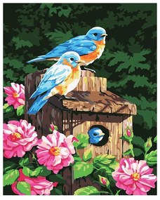 Pictura pe numere cu un cadru "Păsări" 50x40 cm