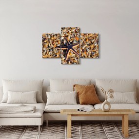 Tablou cu stea de mare (90x60 cm)