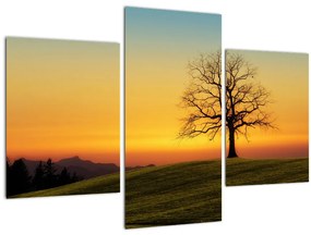 Tablou - Copacul în câmp (90x60 cm)