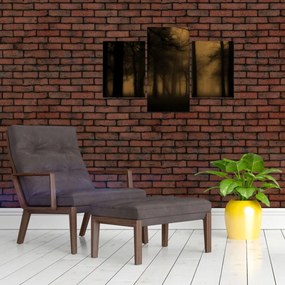 Tablou - Pădurea întunecată (90x60 cm)