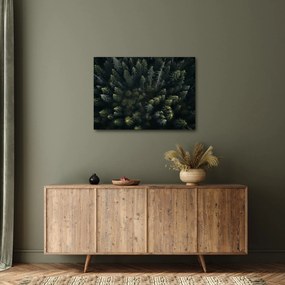 Tablou - Pădure (70x50 cm)