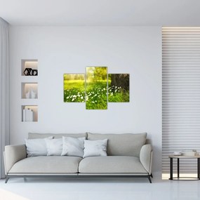 Tablou cu poiana și flori (90x60 cm)