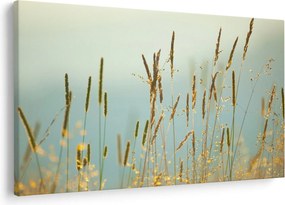 Tablou - Luncă (90x60 cm)