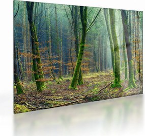 Tablou pe sticlă cu pădure (70x50 cm)