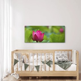 Tablou - floare de apă (120x50 cm)