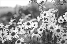 Tablou - Margarete (90x60 cm)