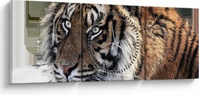 Tablou cu tigrul (cu ceas) (90x30 cm)