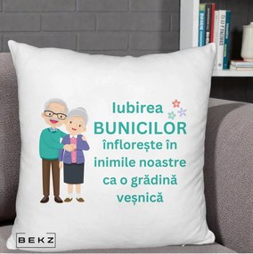 Cadou pentru Bunici - Perna Personalizata Bunicii Iubirea Infloreste Cuplu Senior Teal, 40x40 cm, Alb Pufos, Husa Detasabila, Perna Inclusa, BEKZ®