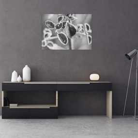 Tablou - Natura în toamnă (70x50 cm)