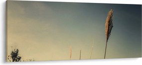 Tablou - Iarba (120x50 cm)