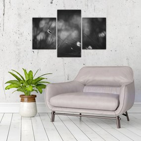 Tablou - Iarbă de pajiște (90x60 cm)