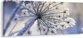 Tablou - Flori înghețate (120x50 cm)