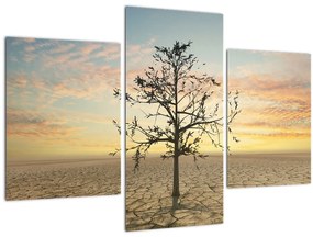 Tablou - Copac în deșert (90x60 cm)
