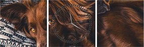 Tablou cu câini dormind (cu ceas) (90x30 cm)