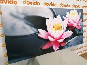 Tablou floare de lotus pe lac