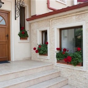 Mozaic Travertin Classic Scapitat 2.5 x 10cm
