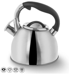 Ceainic inoxidabil cu fluier Orion Darek, 2,7 l