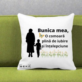Cadou pentru Bunica - Perna Personalizata Bunica Mea Comoara cu Fluture si Baietel, 40x40 cm, Alba Mata, Husa Detasabila, Perna Inclusa, BEKZ®