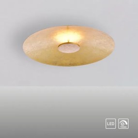 Plafonieră LED dimabilă Paul Neuhaus 8132-12 PLATE LED/25W/230V