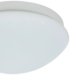Eglo 97531 - Lampă baie cu senzor BARI-M 1xE27/20W/230V