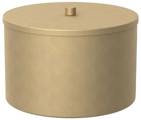 Cutie de metal pentru depozitare 12x17,5 cm auriu