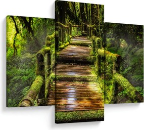 Tablou cu scări într-o pădure tropicală (90x60 cm)