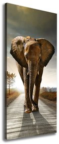 Tablou pe pânză canvas Elefant de mers pe jos