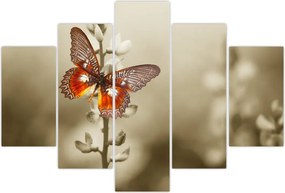 Tablou cu fluture (150x105 cm)